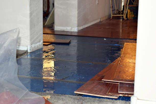 Professional Basement Flood Cleanup technician working in Brecksville, OH